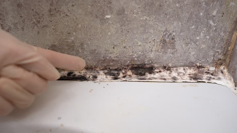 Asbestos and Lead Testing During Mold Inspection in Point Marion, PA